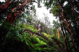 BIB: 
                            <button type="button" onclick="openModal(26205323)" class="btn btn-primary btn-sm float-right btn-popup" data-toggle="modal" data-target=".modal-high-quality">
                        <i class="fas fa-shopping-cart"></i> Add to Cart
                    </button>
                                            <button type="button" onclick="isThisMe(26205323, true)" class="btn btn-success btn-sm float-right btn-popup btn-isme hidden" data-toggle="tooltip" data-placement="bottom" title="นี่คือรูปของคุณใช่ไหม คลิกที่นี่เพื่อเอาเข้าอัลบั้ม">
                        <i class="fas fa-plus"></i> Add to album
                    </button>
                    <button type="button" onclick="isThisMe(26205323, false)" class="btn btn-warning btn-sm float-right btn-popup btn-isnotme hidden">
                        <i class="fas fa-ban"></i> Remove from album
                    </button>